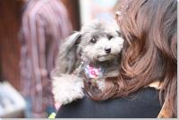 �N���b�N�Ŋg��\�� ( JPEG / 42.8KB / 500�~333 )