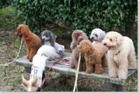 �N���b�N�Ŋg��\�� ( JPEG / 61.7KB / 500�~333 )