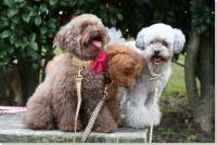 �N���b�N�Ŋg��\�� ( JPEG / 66.3KB / 640�~428 )