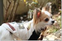 �N���b�N�Ŋg��\�� ( JPEG / 51.7KB / 640�~427 )