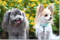 �N���b�N�Ŋg��\�� ( JPEG / 65.0KB / 400�~267 )