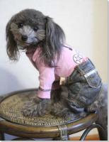 �N���b�N�Ŋg��\�� ( JPEG / 54.0KB / 480�~625 )